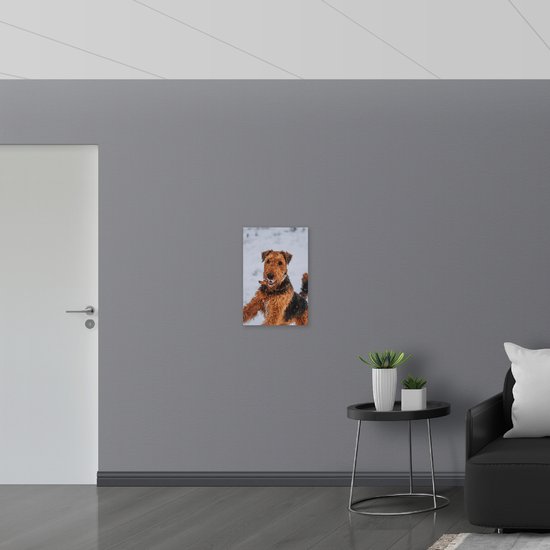 WallClassics - Bois - Chien Zwart et marron dans la neige - 40 x 60 cm - Épaisseur 9 mm - Photo sur bois (avec système de suspension)