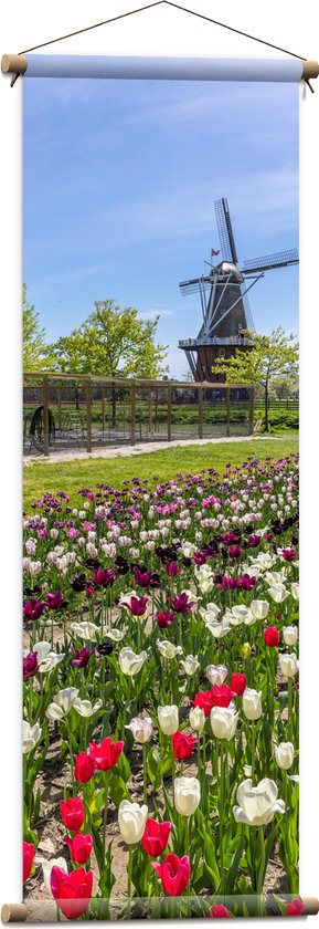 Textielposter - Oerhollands Meerkleurig Tulpenveld bij Bruine Molen - 40x120 cm Foto op Textiel