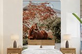 Behang - Fotobehang Paard - Boom - Halster - Breedte 145 cm x hoogte 220 cm