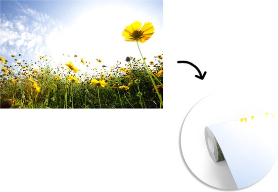 Champ jaune de fotobehang de fleurs
