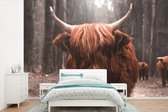 Behang - Fotobehang Schotse hooglander - Bos - Koe - Dieren - Natuur - Breedte 390 cm x hoogte 260 cm