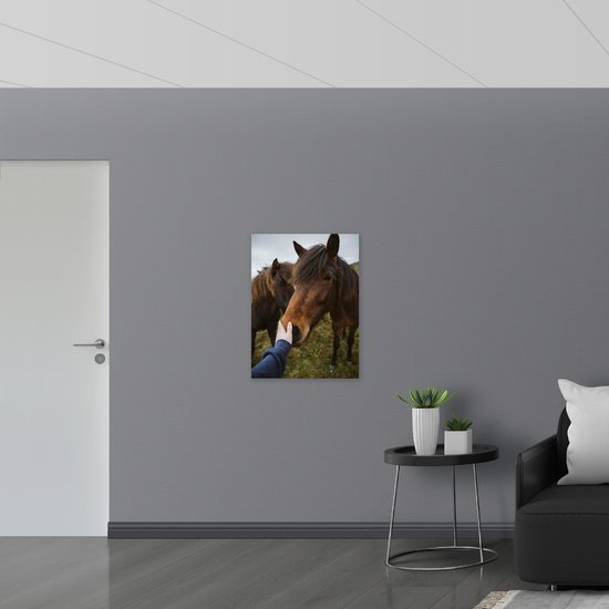 Dibond - Bruin Paard met Hand van Mens - 60x80 cm Foto op Aluminium (Met Ophangsysteem)
