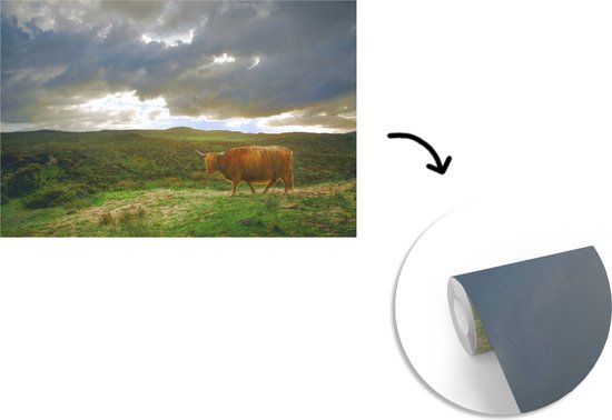 Papier peint Papier peint photo en vinyle - Highlander pendant le coucher du soleil largeur 450 cm x hauteur 300 cm - Tirage photo sur papier peint (disponible en 7 tailles)