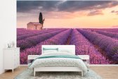 Behang - Fotobehang Lavendel - Bloemen - Paars - Veld - Breedte 295 cm x hoogte 220 cm