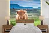 Behang - Fotobehang Schotse hooglander - Koe - Natuur - Berg - Gras - Breedte 220 cm x hoogte 220 cm