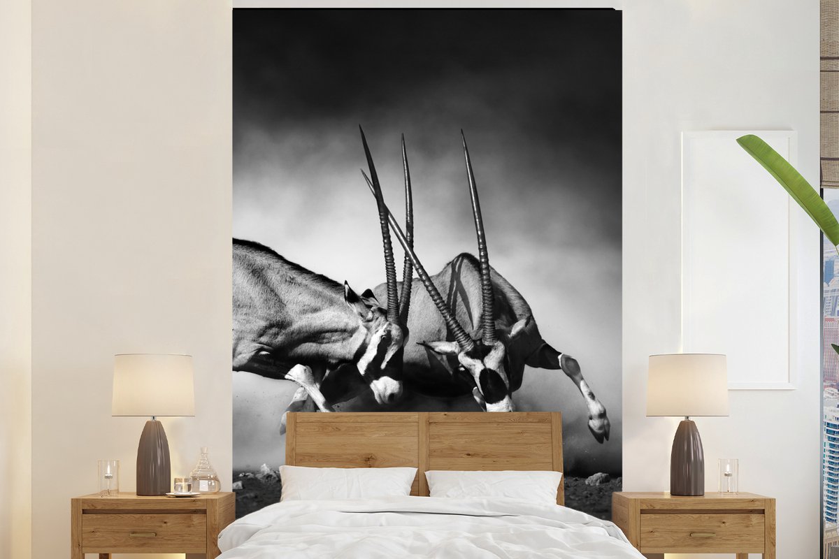 Behang - Fotobehang Antilope - Zwart wit - Portret - Wilde dieren - Dieren - Breedte 195 cm x hoogte 300 cm