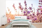 Behang - Fotobehang Lavendel - Close-up - Zon - Bloemen - Paars - Breedte 295 cm x hoogte 220 cm
