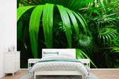 Behang - Fotobehang Palmbladen in de jungle - Breedte 420 cm x hoogte 280 cm
