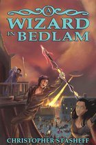 Chronicles of the Rogue Wizard 2 - A Wizard in Bedlam