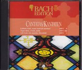 Bach Cantatas BWV 8, 186 & 3