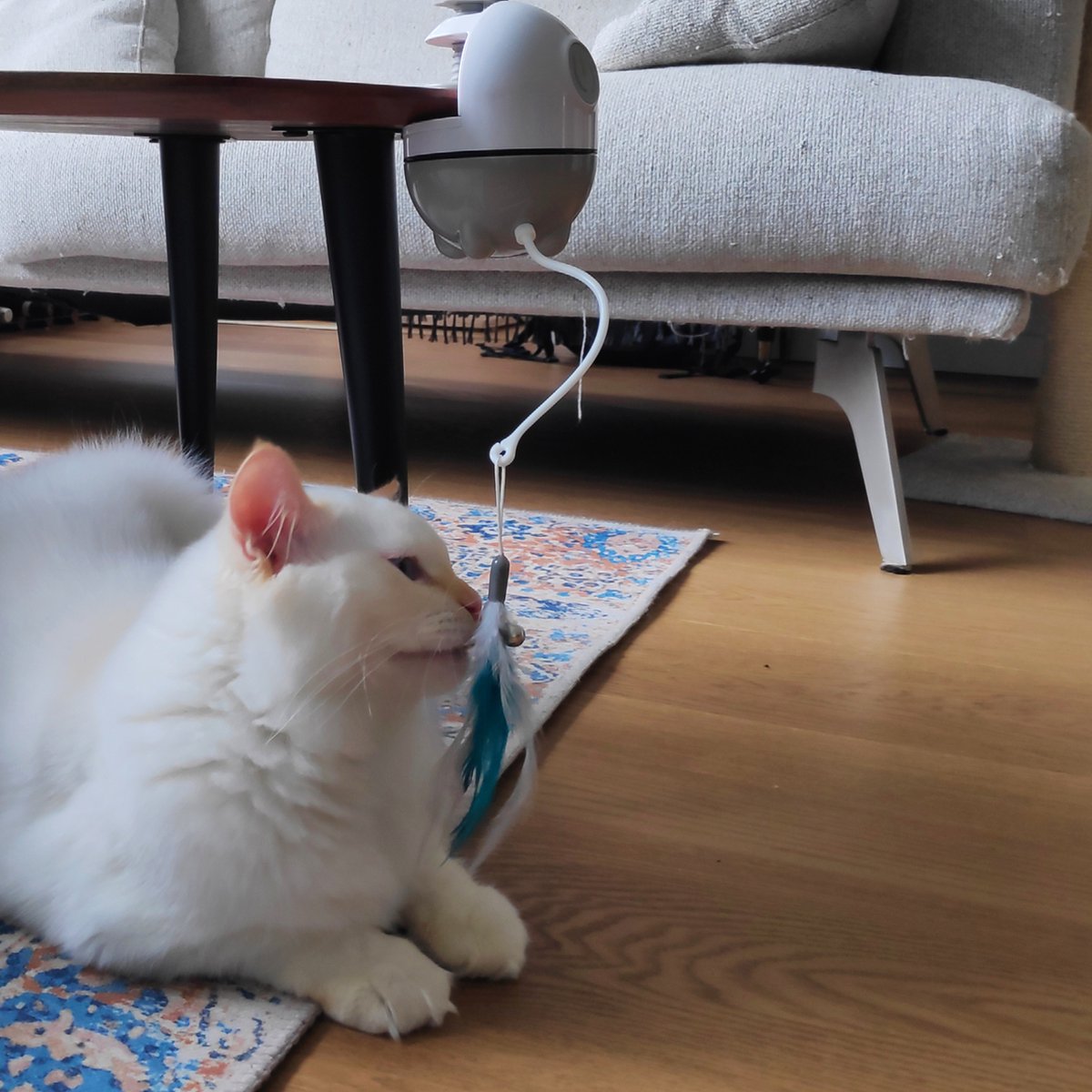 A-Motions Veren en Lint voor Filo Rijdend en Hangend Kattenspeelgoed met Laser thumbnail 4