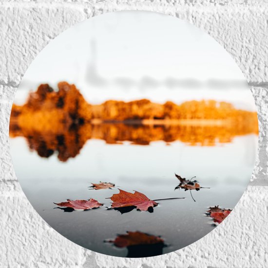 WallClassics - Muursticker Cirkel - Herfstbladeren op het Water omringd door Bomen - 20x20 cm Foto op Muursticker