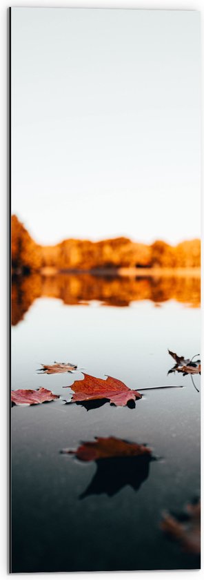WallClassics - Dibond - Herfstbladeren op het Water omringd door Bomen - 30x90 cm Foto op Aluminium (Met Ophangsysteem)