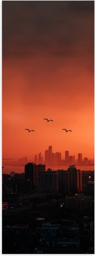 WallClassics - Poster (Mat) - Trio vogels boven Gebouwen in de Stad - 40x120 cm Foto op Posterpapier met een Matte look