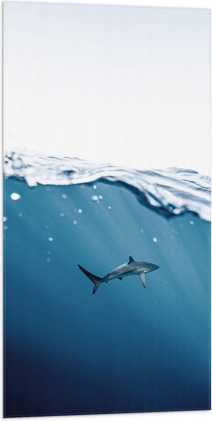 Vlag - Haai zwemmend bij het Wateroppervlak - 50x100 cm Foto op Polyester Vlag
