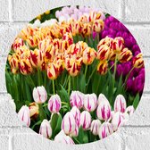 Muursticker Cirkel - Bloemenveld met Oranje, Roze en Paarse Tulpen - 30x30 cm Foto op Muursticker