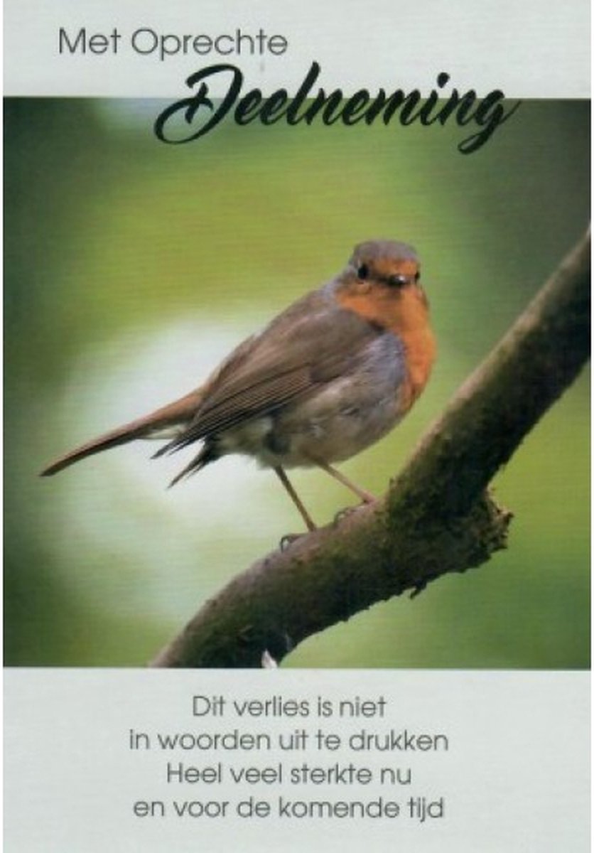 Met oprechte deelneming en veel sterkte voor nu en de komende tijd. Een kaart met een roodbosje op de tak. Een dubbele wenskaart inclusief envelop en in folie verpakt.