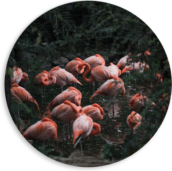 PVC Schuimplaat Muurcirkel - Groep Flamingo's in het Water tussen Bomen en Planten - 80x80 cm Foto op Muurcirkel (met ophangsysteem)