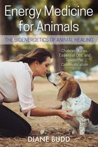 Energy Medicine for Animals: The Bioenergetics of Animal Healing