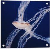WallClassics - Tuinposter – Kwal in Donkere Oceaan - 50x50 cm Foto op Tuinposter (wanddecoratie voor buiten en binnen)