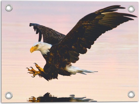 WallClassics - Tuinposter – Roofvogel landend in het Water - Amerikaanse Zeearend - 40x30 cm Foto op Tuinposter (wanddecoratie voor buiten en binnen)