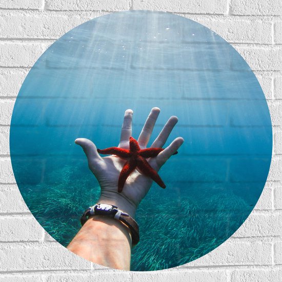 WallClassics - Muursticker Cirkel - Rode Zeester Onder Water - 70x70 cm Foto op Muursticker