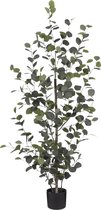 Mica Decorations Eucalyptus Kunstplant in Bloempot - H150 x Ø30 cm - Groen