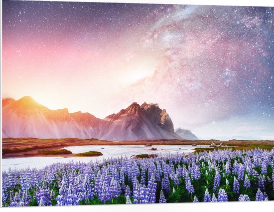 PVC Schuimplaat- Lavendelveld in Landschap met Bergen onder Sterrenhemel - 100x75 cm Foto op PVC Schuimplaat