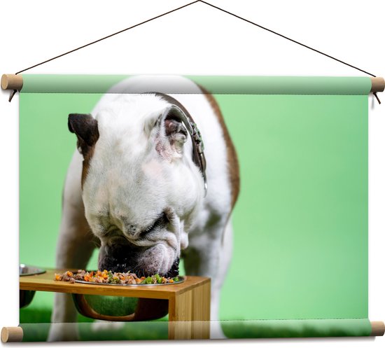 WallClassics - Textielposter - Hondje aan het Eten voor Groene Achtergrond - Buldog - 60x40 cm Foto op Textiel