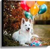 WallClassics - Canvas - Liggende Hond met Bal en Ballonnen - 60x60 cm Foto op Canvas Schilderij (Wanddecoratie op Canvas)