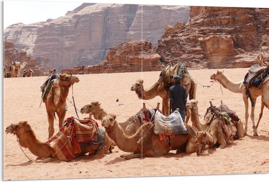 WallClassics - Acrylglas - Kamelen in de Woestijn - 120x80 cm Foto op Acrylglas (Met Ophangsysteem)