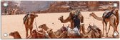 WallClassics - Tuinposter – Kamelen in de Woestijn - 60x20 cm Foto op Tuinposter (wanddecoratie voor buiten en binnen)