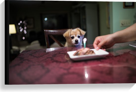 WallClassics - Canvas - Jarig Klein Hondje zittend op Stoel aan Eettafel - 60x40 cm Foto op Canvas Schilderij (Wanddecoratie op Canvas)