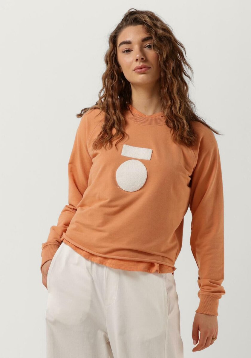10days Cropped Icon Sweater Truien & Vesten Dames - Sweater - Hoodie - Vest- Oranje - Maat S