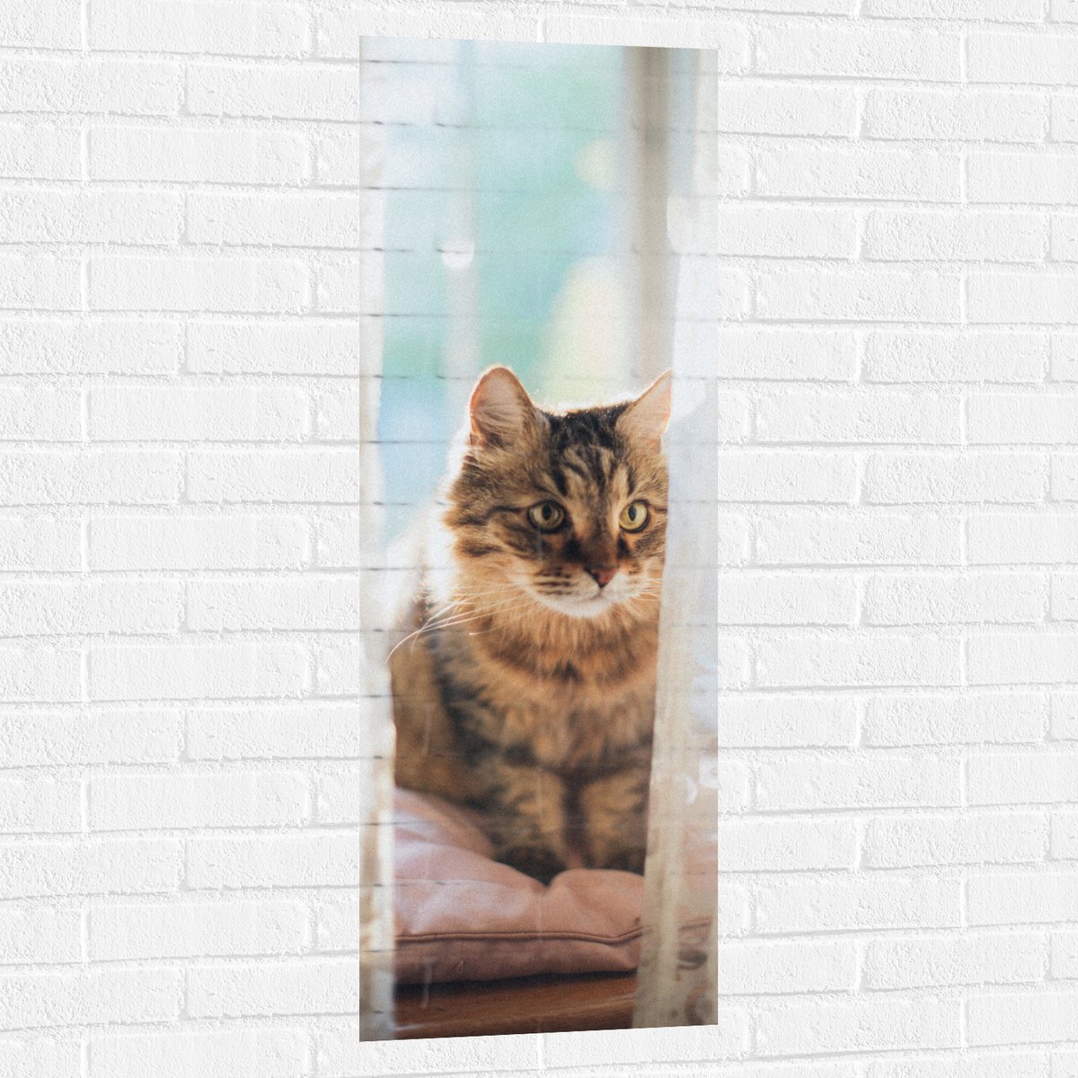 Muursticker - Bruien Huiskat Verstopt Achter Klassieke Gordijntjes - 40x120 cm Foto op Muu