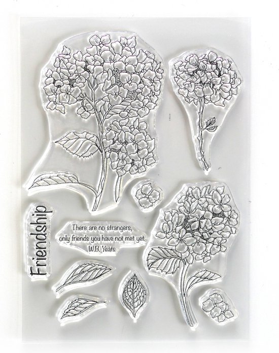 ECD Clear stamps A5 Beautiful blooms - Friendship