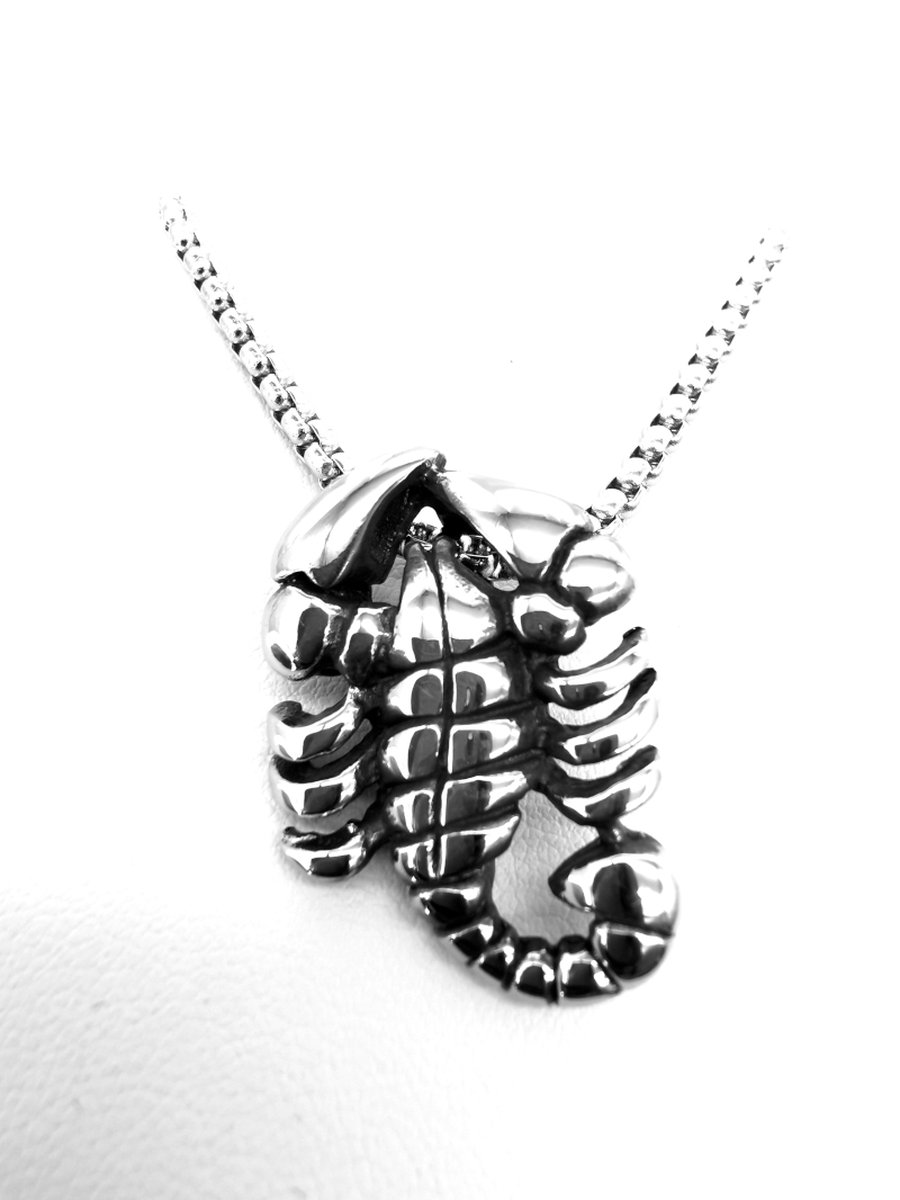 Stoere RVS Schorpioen hanger met RVS rolo schakelketting.
