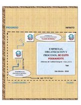 Empresas, Organizacion Y Procesos, de Exito Permanente