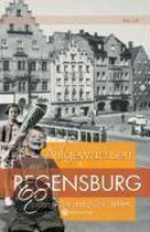 Aufgewachsen in Regensburg in den 40er und 50er Jahren
