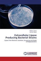 Extracellular Lipase Producing Bacterial Strains