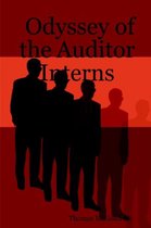 Odyssey of the Auditor Interns