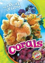 Ocean Life Up Close - Corals