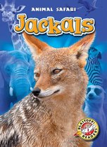 Animal Safari - Jackals