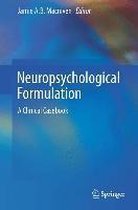 Neuropsychological Formulation