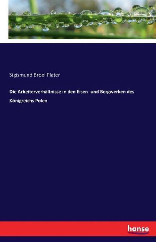Die Arbeiterverhältnisse in den Eisen- und Bergwerken des Königreichs Polen