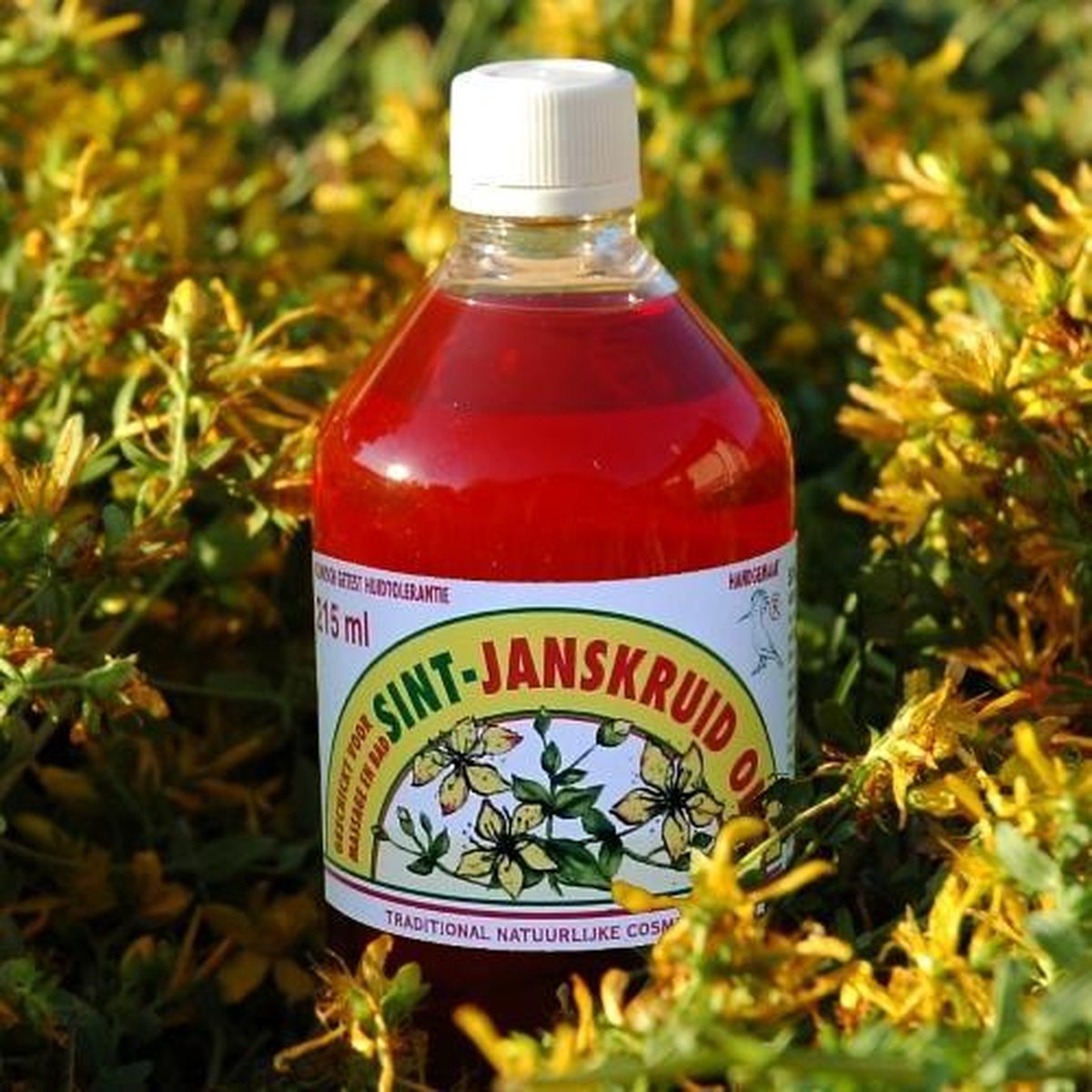 Goedkoopste Dr.Dudek Sint-Janskruid olie 215 ml - Janskruidolie - Massageolie - Breuss massage - Maceraat