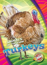 Animals on the Farm - Turkeys