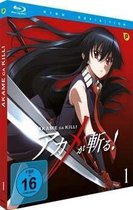 Nakamura, K: Akame Ga Kill - Schwerter der Assassinen - Vol.