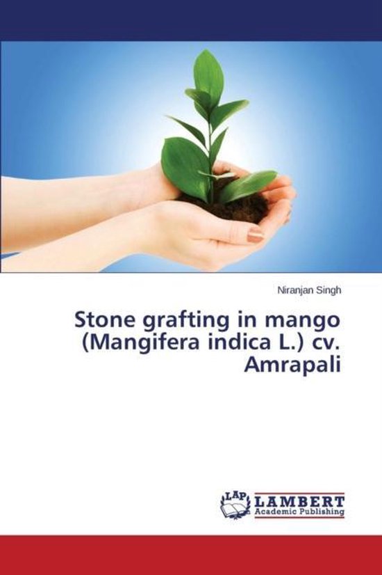 Foto: Stone grafting in mango mangifera indica l cv amrapali