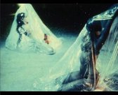 Carolee Schneemann